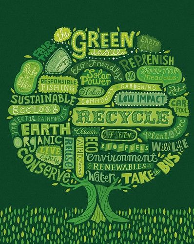 Embracing a Greener Lifestyle: The Basics of Sustainable Living