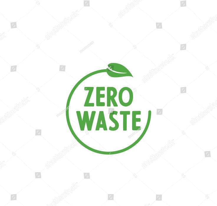 Ritik’s Guide to Zero Waste Wonder!